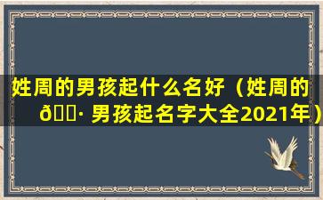 姓周的男孩起什么名好（姓周的 🌷 男孩起名字大全2021年）